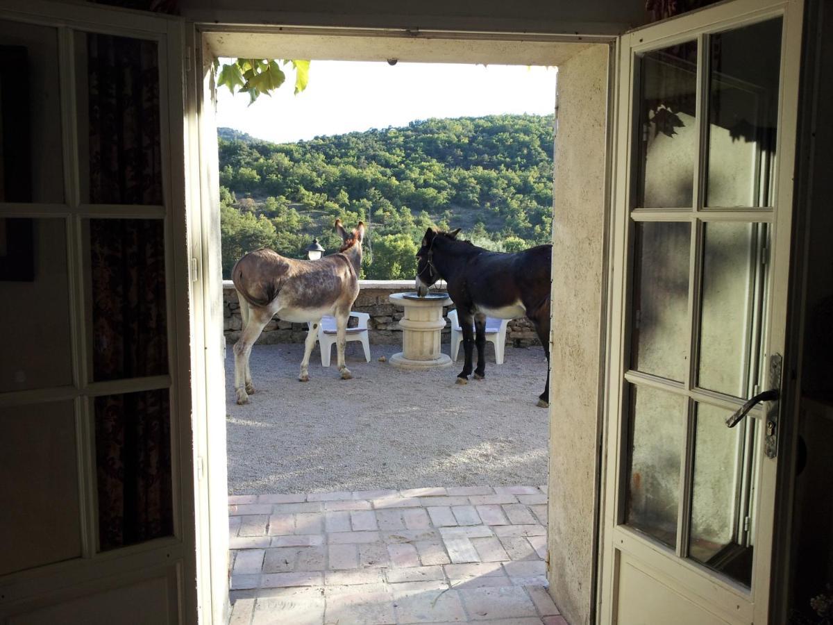 Le Relais D'Elle Bed & Breakfast Niozelles Екстериор снимка